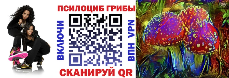 Псилоцибиновые грибы Psilocybine cubensis  Купить  Коряжма 