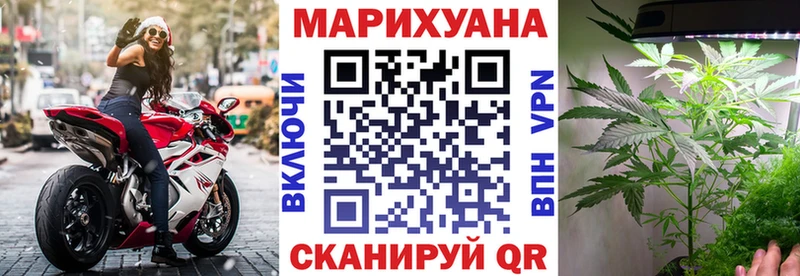 Купить Коряжма Канабис SATIVA & INDICA
